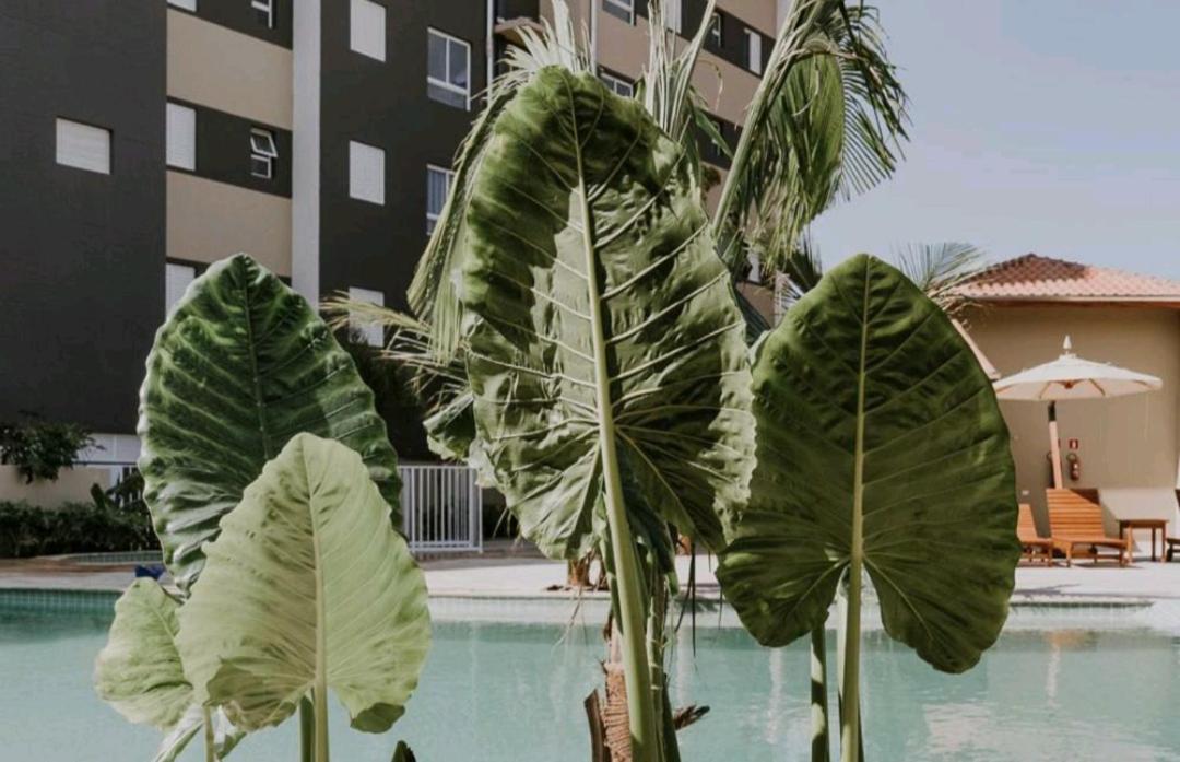 Jardim Das Palmeiras II Home Resort Ubatuba Eksteriør billede